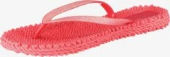 ILSE JACOBSEN Slippers Teenslipper Dames Watermeloen Rood 15 ILSE JACOBSEN Slippers Teenslipper Dames Watermeloen Rood -Ilse Jacobsen 2215cf10fe05a1480b8a1c416fdad861