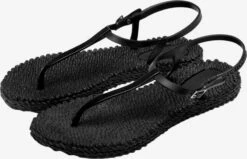 ILSE JACOBSEN Slippers Teenslipper CHEERFUL11M Dames Zwart -Ilse Jacobsen 274053d618403bca45beb82ef8ab8762