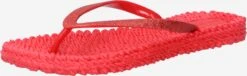 ILSE JACOBSEN Slippers Teenslipper Dames Rood Gemêleerd