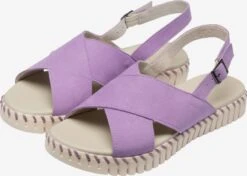 ILSE JACOBSEN Sandalen & Slippers Sandaal TULIP1576 Dames Lichtlila -Ilse Jacobsen 51caf3ff77cf90c6bf1488ec914f0ba9