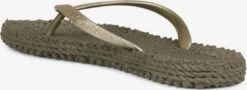ILSE JACOBSEN Slippers Teenslipper Cheerful01 Dames Bruin / Goud -Ilse Jacobsen 7646c2515d59b614874edc388e77825e