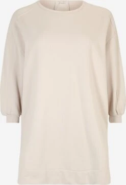 ILSE JACOBSEN Sweatshirts Sweatshirt Dames Taupe