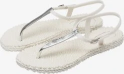 ILSE JACOBSEN Slippers Teenslipper CHEERFUL11M Dames Wit -Ilse Jacobsen 9bba36e8a46c46e3835c86a2d7688043