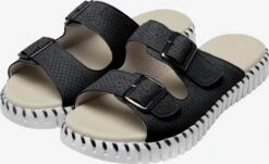 ILSE JACOBSEN Klassieke Muiltjes Muiltjes TULIP Dames Zwart -Ilse Jacobsen cc2e65c69e9d2d656f1a263e6a7f1057