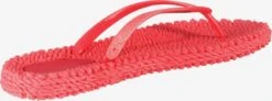 ILSE JACOBSEN Slippers Teenslipper Dames Watermeloen Rood 18 ILSE JACOBSEN Slippers Teenslipper Dames Watermeloen Rood -Ilse Jacobsen d2da6e427a304e5dbafc3fad36a2dceb