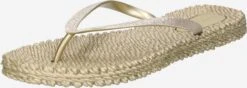 ILSE JACOBSEN Slippers Teenslipper Cheerful01 Dames Goud