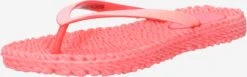 ILSE JACOBSEN Slippers Teenslipper Dames Watermeloen Rood